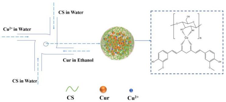 https://cdn.ncbi.nlm.nih.gov/pmc/blobs/3d87/9182672/77bcd9f852b1/polymers-14-02133-g001.jpg