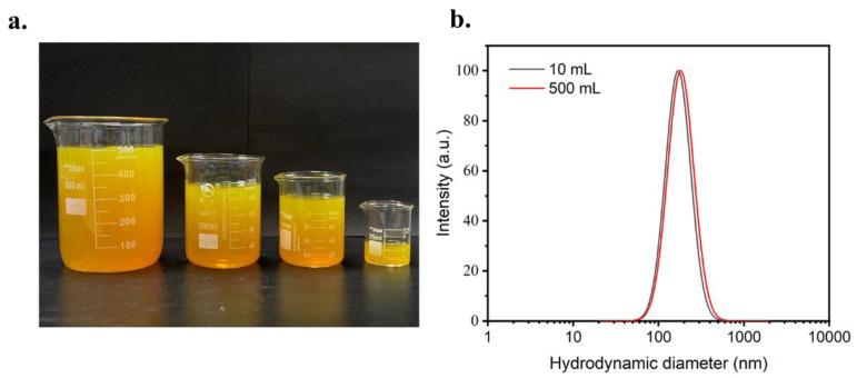 https://cdn.ncbi.nlm.nih.gov/pmc/blobs/3d87/9182672/991afb2734c4/polymers-14-02133-g003.jpg