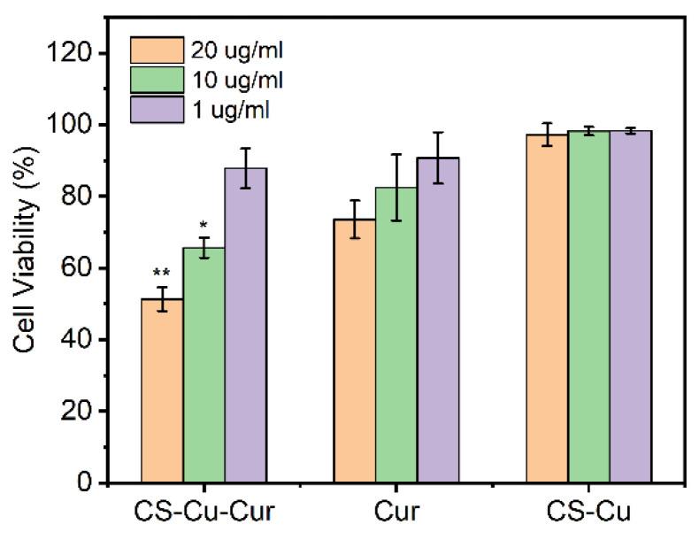 https://cdn.ncbi.nlm.nih.gov/pmc/blobs/3d87/9182672/b4ee3950495b/polymers-14-02133-g010.jpg