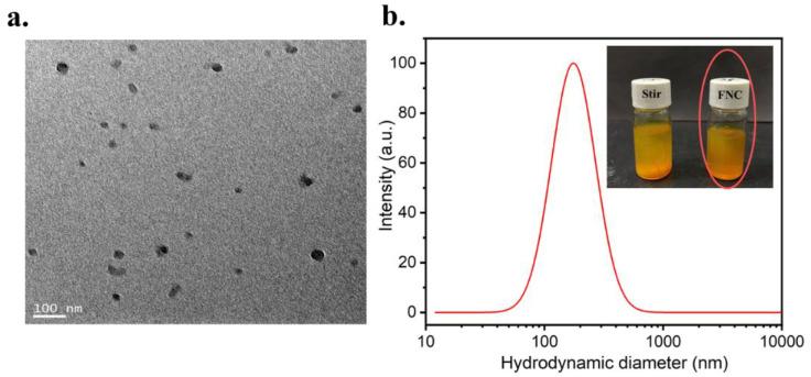 https://cdn.ncbi.nlm.nih.gov/pmc/blobs/3d87/9182672/d0b4fc0a7f9b/polymers-14-02133-g002.jpg