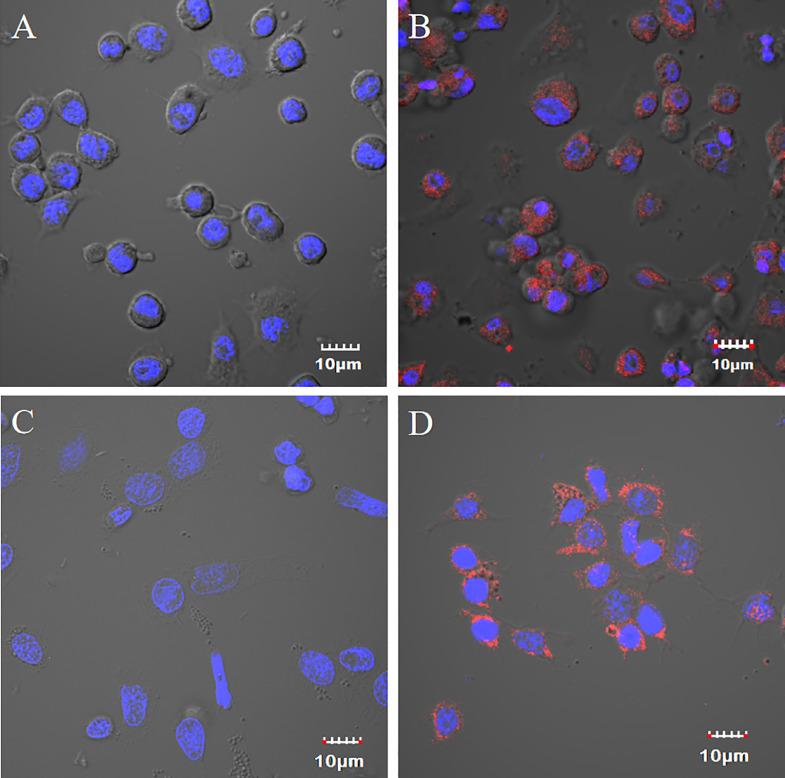 https://cdn.ncbi.nlm.nih.gov/pmc/blobs/3d87/9852278/0cd45f755de0/gr1.jpg
