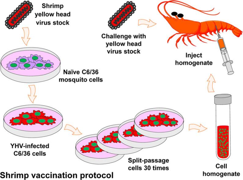 https://cdn.ncbi.nlm.nih.gov/pmc/blobs/3d87/9852278/1c104f15d445/ga1.jpg