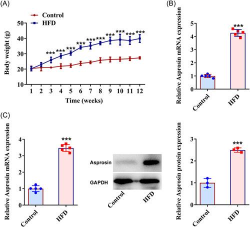 https://cdn.ncbi.nlm.nih.gov/pmc/blobs/3d8b/10436697/2d33a2f5c625/IID3-11-e947-g003.jpg