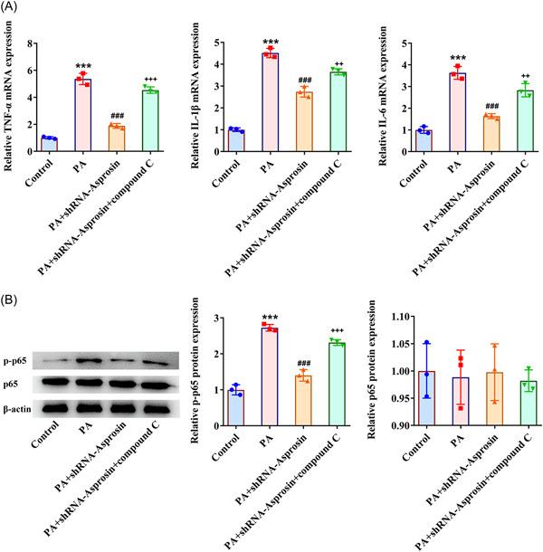 https://cdn.ncbi.nlm.nih.gov/pmc/blobs/3d8b/10436697/4e8ad5f10685/IID3-11-e947-g009.jpg