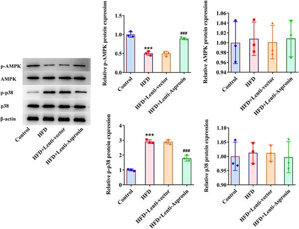 https://cdn.ncbi.nlm.nih.gov/pmc/blobs/3d8b/10436697/5cc6db31e17d/IID3-11-e947-g010.jpg