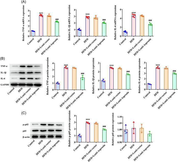 https://cdn.ncbi.nlm.nih.gov/pmc/blobs/3d8b/10436697/5eb8a7d2f241/IID3-11-e947-g012.jpg