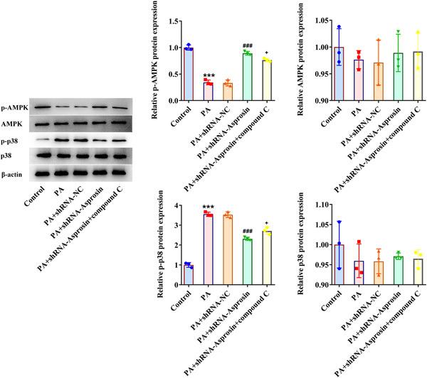https://cdn.ncbi.nlm.nih.gov/pmc/blobs/3d8b/10436697/843cfb88726b/IID3-11-e947-g002.jpg