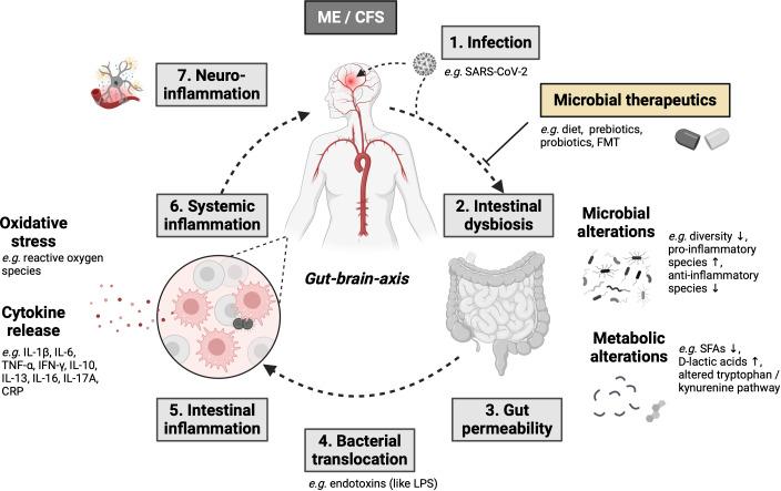 https://cdn.ncbi.nlm.nih.gov/pmc/blobs/3d8c/11007072/06f8b1d6a267/fimmu-15-1352744-g001.jpg