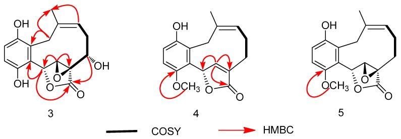 https://cdn.ncbi.nlm.nih.gov/pmc/blobs/3d8c/6891274/0bdb41552c8f/molecules-24-04015-g005.jpg