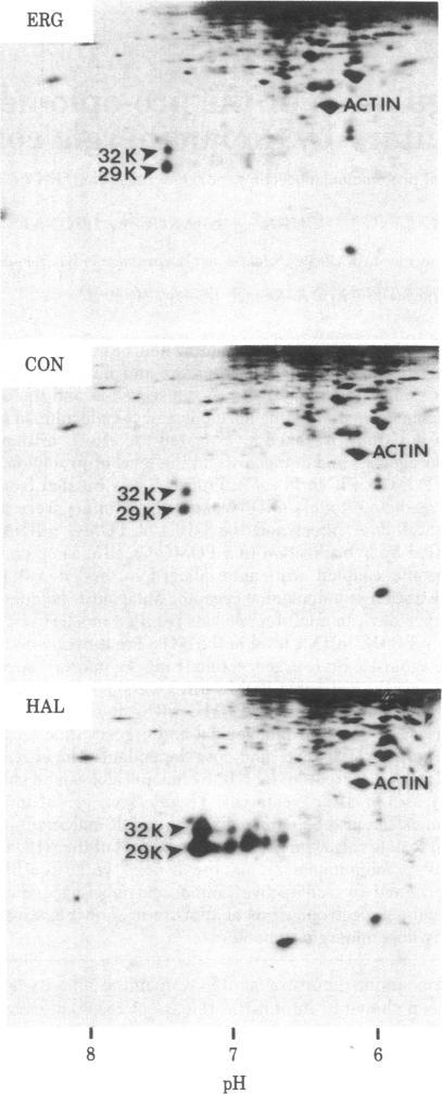 https://cdn.ncbi.nlm.nih.gov/pmc/blobs/3d8d/393788/030144251314/pnas00634-0123-a.jpg