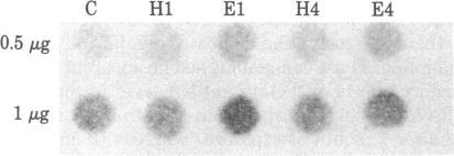 https://cdn.ncbi.nlm.nih.gov/pmc/blobs/3d8d/393788/51094a8caf92/pnas00634-0125-b.jpg