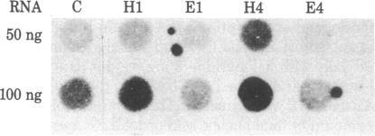 https://cdn.ncbi.nlm.nih.gov/pmc/blobs/3d8d/393788/7b2824fd05d1/pnas00634-0125-a.jpg