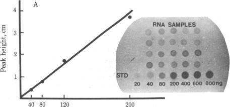 https://cdn.ncbi.nlm.nih.gov/pmc/blobs/3d8d/393788/faaa2da0afd0/pnas00634-0124-a.jpg