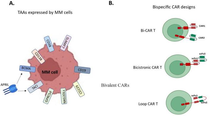 https://cdn.ncbi.nlm.nih.gov/pmc/blobs/3d8e/11787132/03380a537fbc/262_2024_3913_Fig2_HTML.jpg