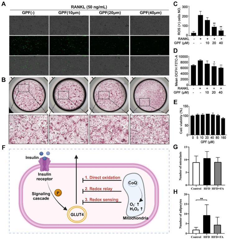 https://cdn.ncbi.nlm.nih.gov/pmc/blobs/3d8f/11234277/0ce079b6a154/thnov14p3859g003.jpg