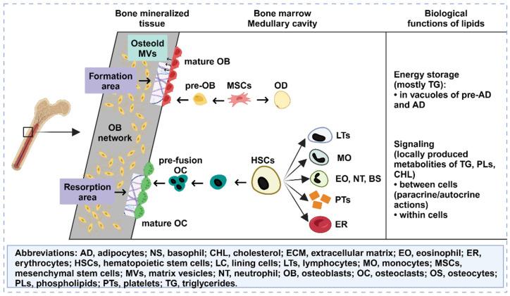 https://cdn.ncbi.nlm.nih.gov/pmc/blobs/3d8f/11234277/13797d310d51/thnov14p3859g007.jpg