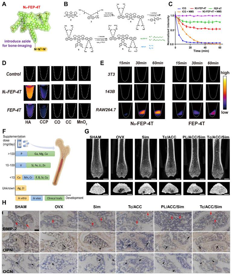 https://cdn.ncbi.nlm.nih.gov/pmc/blobs/3d8f/11234277/214eacb3b7d1/thnov14p3859g013.jpg