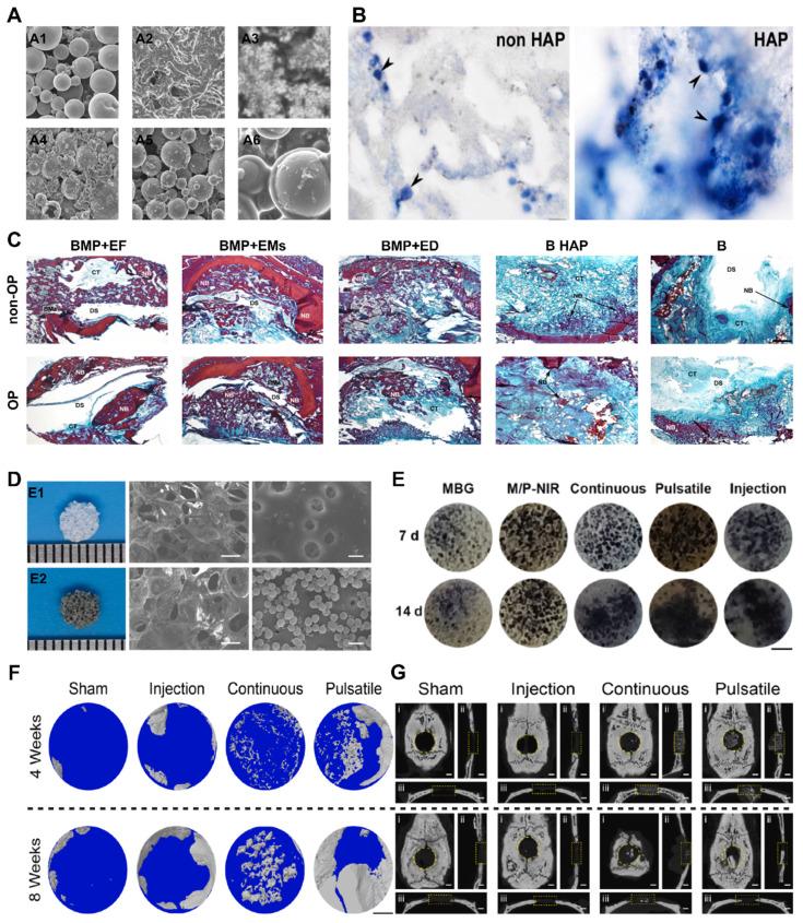 https://cdn.ncbi.nlm.nih.gov/pmc/blobs/3d8f/11234277/3a416dff4fd4/thnov14p3859g014.jpg