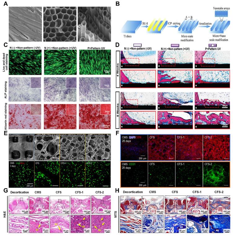 https://cdn.ncbi.nlm.nih.gov/pmc/blobs/3d8f/11234277/9038769250ca/thnov14p3859g009.jpg