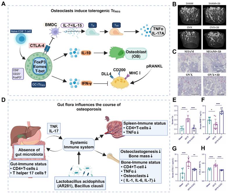 https://cdn.ncbi.nlm.nih.gov/pmc/blobs/3d8f/11234277/cdfa0fe48886/thnov14p3859g002.jpg