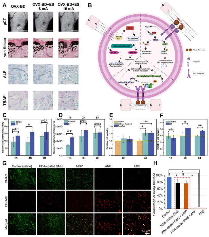 https://cdn.ncbi.nlm.nih.gov/pmc/blobs/3d8f/11234277/fa9bf6682b79/thnov14p3859g011.jpg