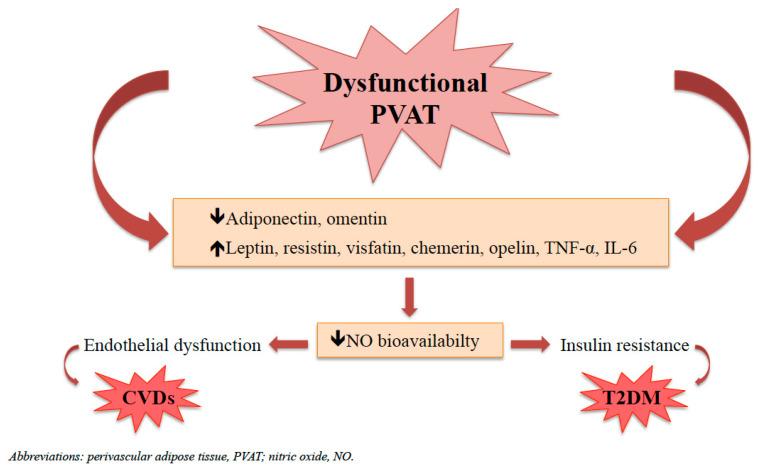 https://cdn.ncbi.nlm.nih.gov/pmc/blobs/3d90/10669084/089d4a982418/biomedicines-11-03006-g003.jpg