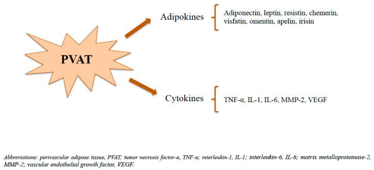 https://cdn.ncbi.nlm.nih.gov/pmc/blobs/3d90/10669084/a3cf2a624def/biomedicines-11-03006-g002.jpg