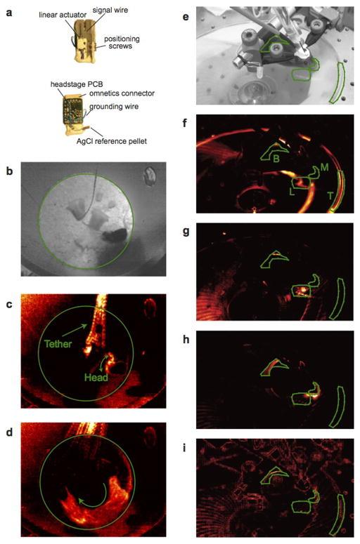 https://cdn.ncbi.nlm.nih.gov/pmc/blobs/3d92/4248668/8affe5bf3a52/nihms618166f6.jpg
