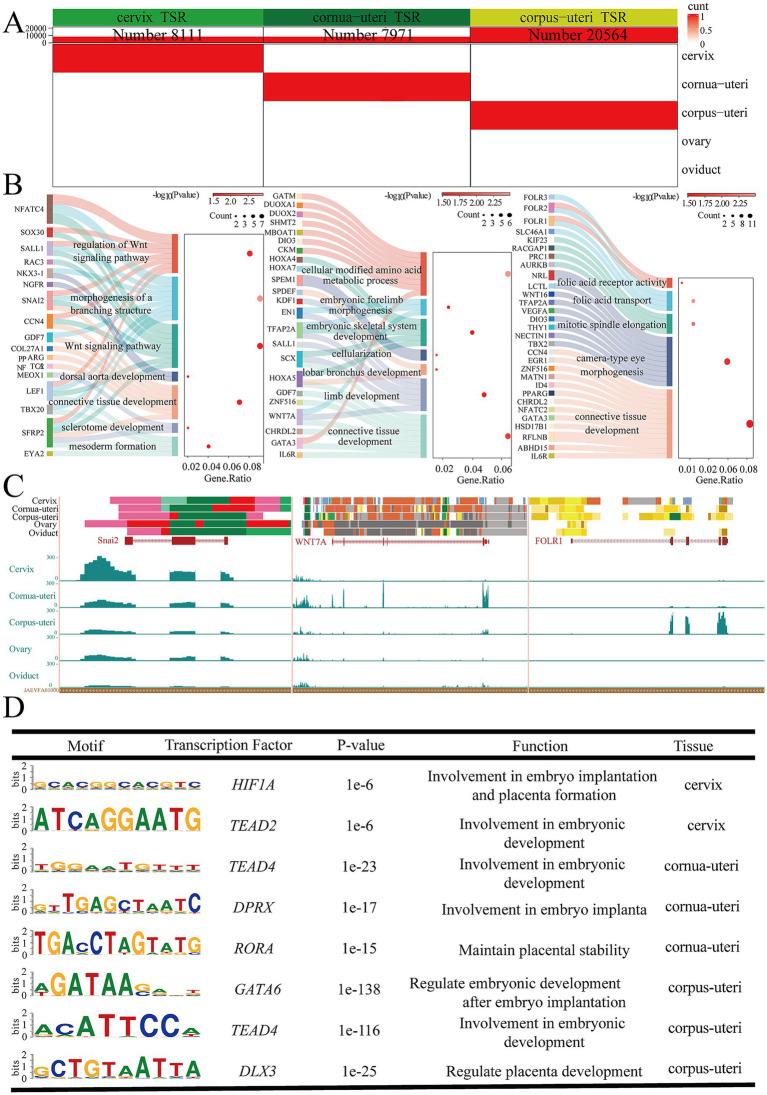 https://cdn.ncbi.nlm.nih.gov/pmc/blobs/3d94/12040938/0d9d037a0be4/fvets-12-1564148-g006.jpg