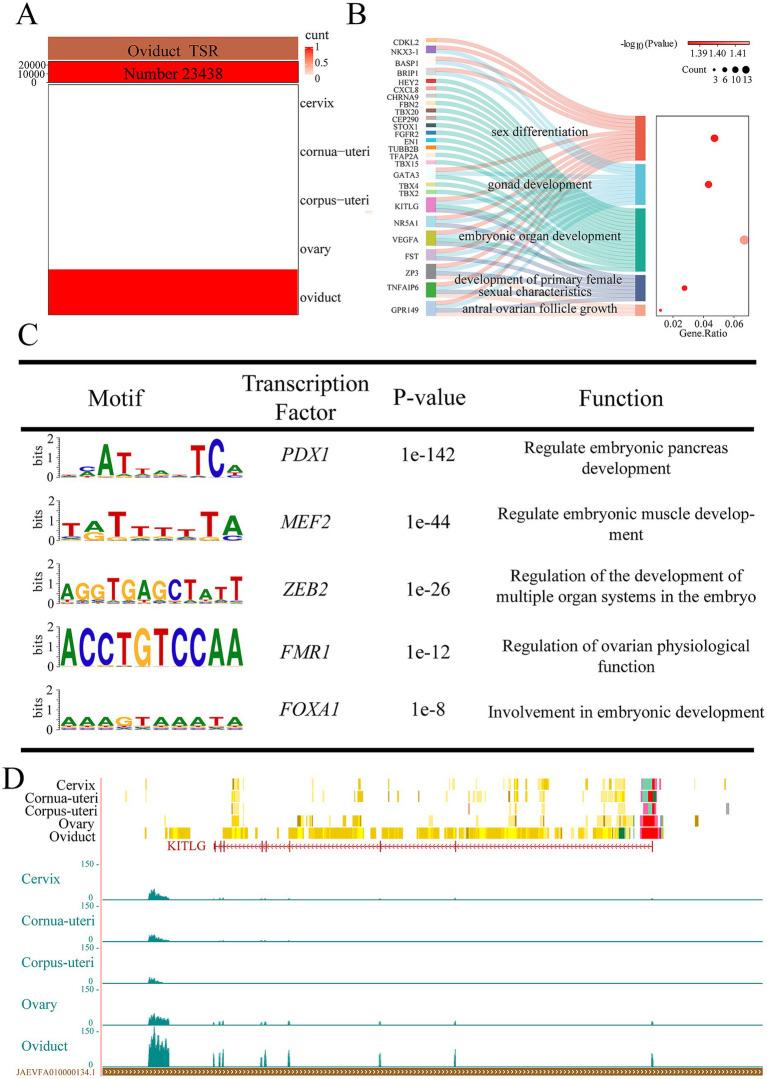 https://cdn.ncbi.nlm.nih.gov/pmc/blobs/3d94/12040938/4854867542d6/fvets-12-1564148-g004.jpg
