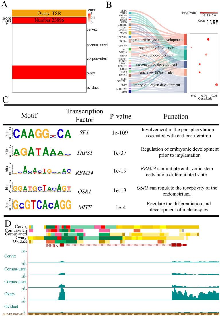 https://cdn.ncbi.nlm.nih.gov/pmc/blobs/3d94/12040938/78cb81b77bdb/fvets-12-1564148-g003.jpg