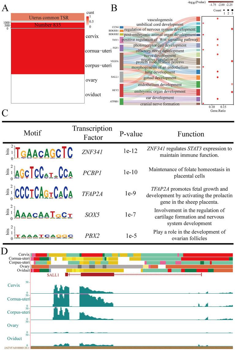 https://cdn.ncbi.nlm.nih.gov/pmc/blobs/3d94/12040938/bc752698f419/fvets-12-1564148-g005.jpg
