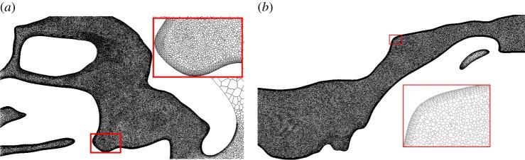 https://cdn.ncbi.nlm.nih.gov/pmc/blobs/3d94/4277078/35fc017e323d/rsif20140880-g20.jpg