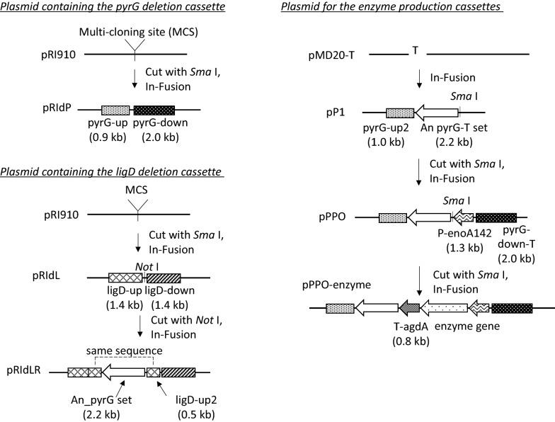 https://cdn.ncbi.nlm.nih.gov/pmc/blobs/3d94/7045521/e51c7b4a76f0/13068_2020_1669_Fig6_HTML.jpg