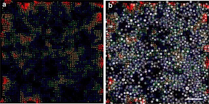 https://cdn.ncbi.nlm.nih.gov/pmc/blobs/3d94/7304893/79ca7c587e16/la9b03665_0005.jpg