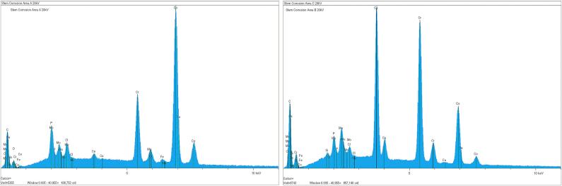 https://cdn.ncbi.nlm.nih.gov/pmc/blobs/3d94/7772456/52b3cf3a3a6d/gr5.jpg