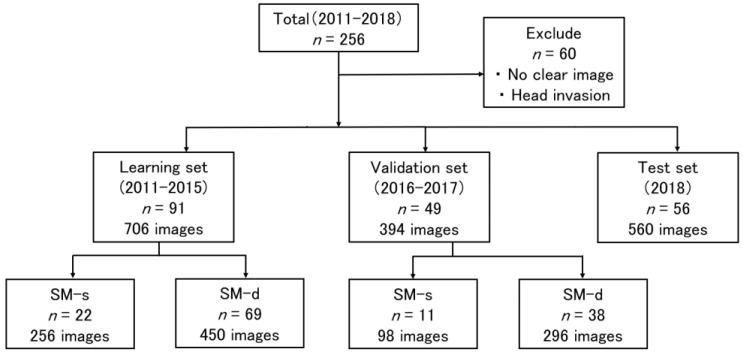 https://cdn.ncbi.nlm.nih.gov/pmc/blobs/3d97/9656054/c367157b91fa/cancers-14-05361-g001.jpg