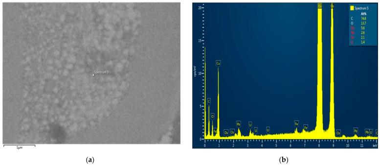 https://cdn.ncbi.nlm.nih.gov/pmc/blobs/3d98/8147170/826884beecd3/biomolecules-11-00676-g012.jpg