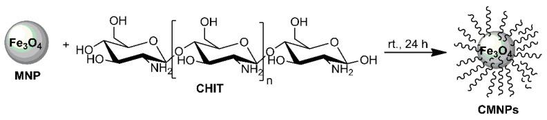 https://cdn.ncbi.nlm.nih.gov/pmc/blobs/3d98/8147170/9953a090c6a5/biomolecules-11-00676-sch001.jpg