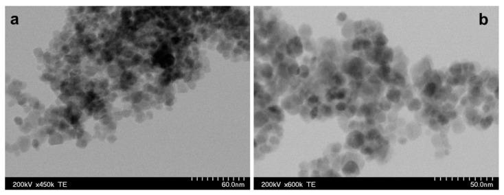 https://cdn.ncbi.nlm.nih.gov/pmc/blobs/3d98/8147170/ce4bc93195dc/biomolecules-11-00676-g002.jpg