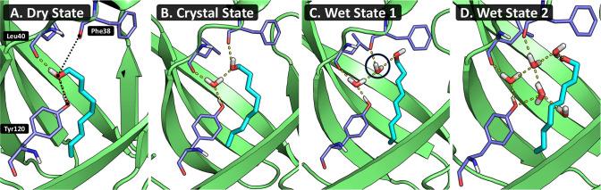 https://cdn.ncbi.nlm.nih.gov/pmc/blobs/3d98/9933432/b423ffe1c01e/ct2c00823_0006.jpg