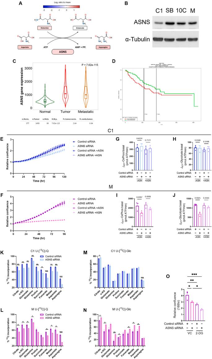 https://cdn.ncbi.nlm.nih.gov/pmc/blobs/3d9a/11490841/051946053766/gr5.jpg