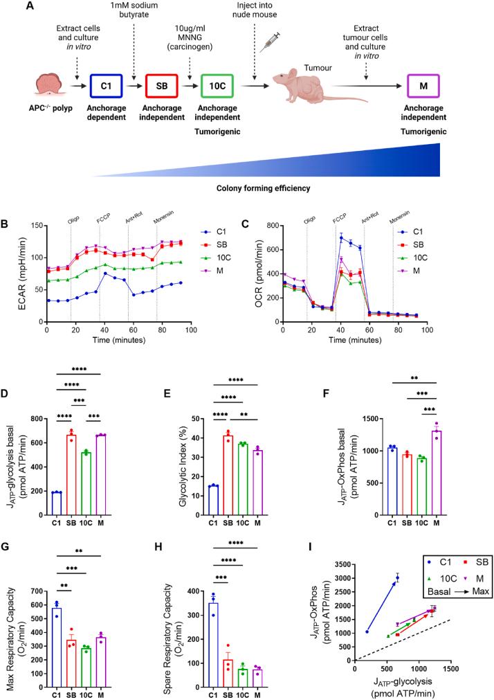 https://cdn.ncbi.nlm.nih.gov/pmc/blobs/3d9a/11490841/4e05c6c9ce13/gr1.jpg