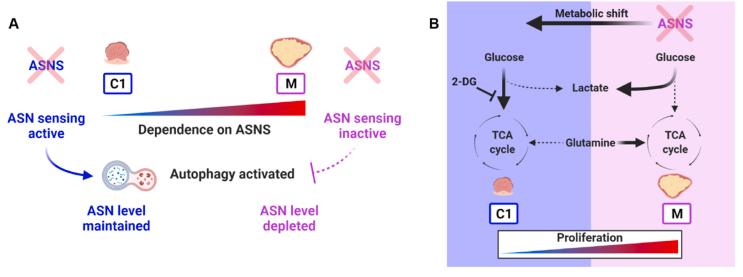 https://cdn.ncbi.nlm.nih.gov/pmc/blobs/3d9a/11490841/f46494991074/gr7.jpg