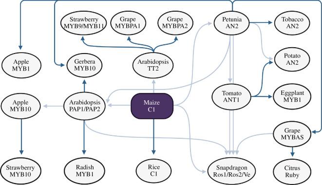 https://cdn.ncbi.nlm.nih.gov/pmc/blobs/3d9c/11439498/e6a5702ac110/rstb.2023.0367.f001.jpg