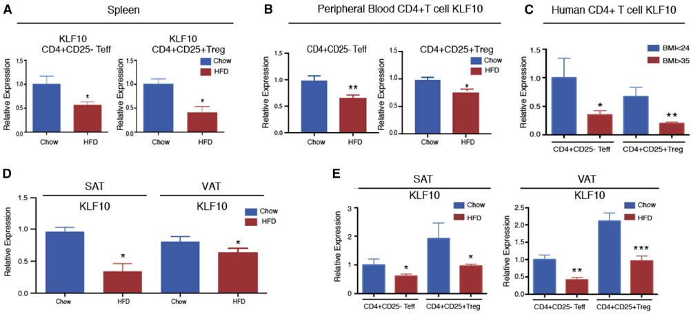 https://cdn.ncbi.nlm.nih.gov/pmc/blobs/3d9c/7816773/bafb2d236680/nihms-1658623-f0002.jpg