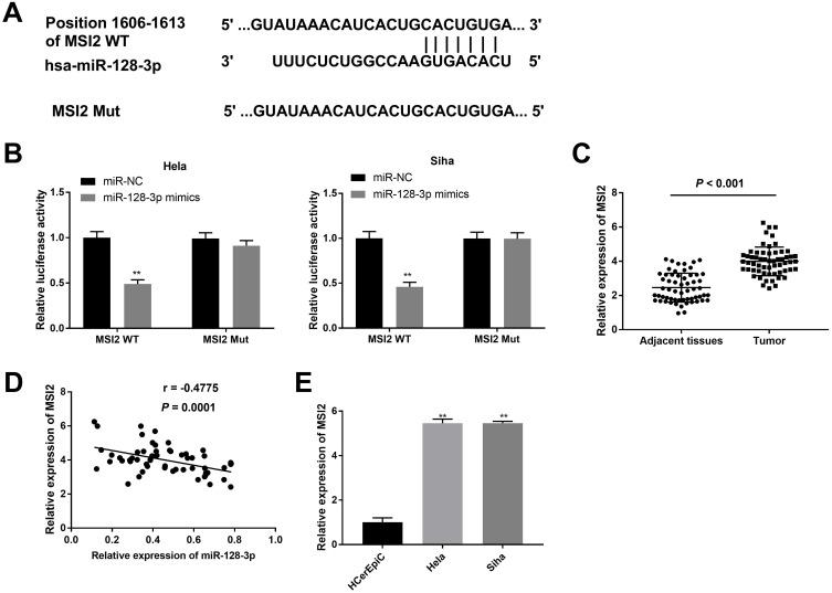 https://cdn.ncbi.nlm.nih.gov/pmc/blobs/3d9d/7519841/82e017a083d3/CMAR-12-8745-g0005.jpg