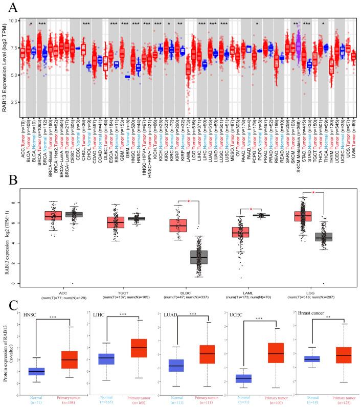 https://cdn.ncbi.nlm.nih.gov/pmc/blobs/3da0/10558570/03df1e0ec724/41598_2023_43699_Fig1_HTML.jpg