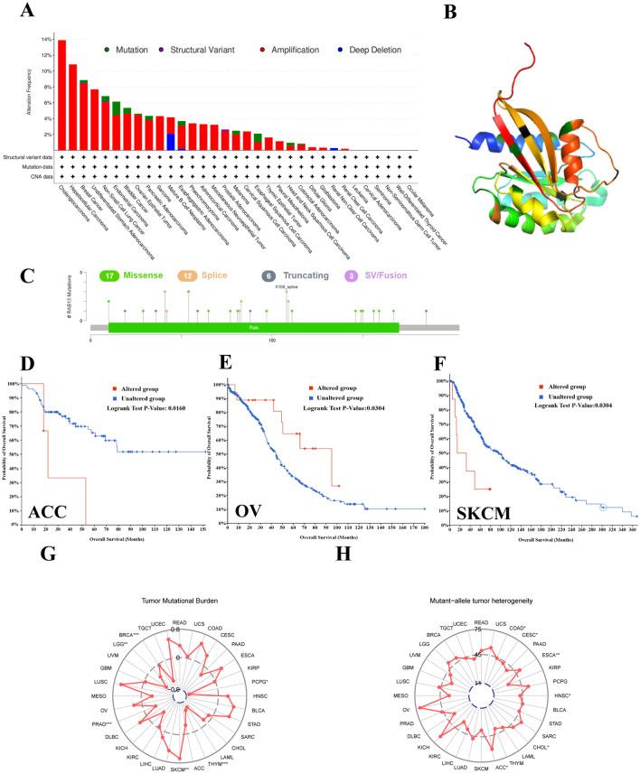 https://cdn.ncbi.nlm.nih.gov/pmc/blobs/3da0/10558570/0bb4248f01cf/41598_2023_43699_Fig4_HTML.jpg