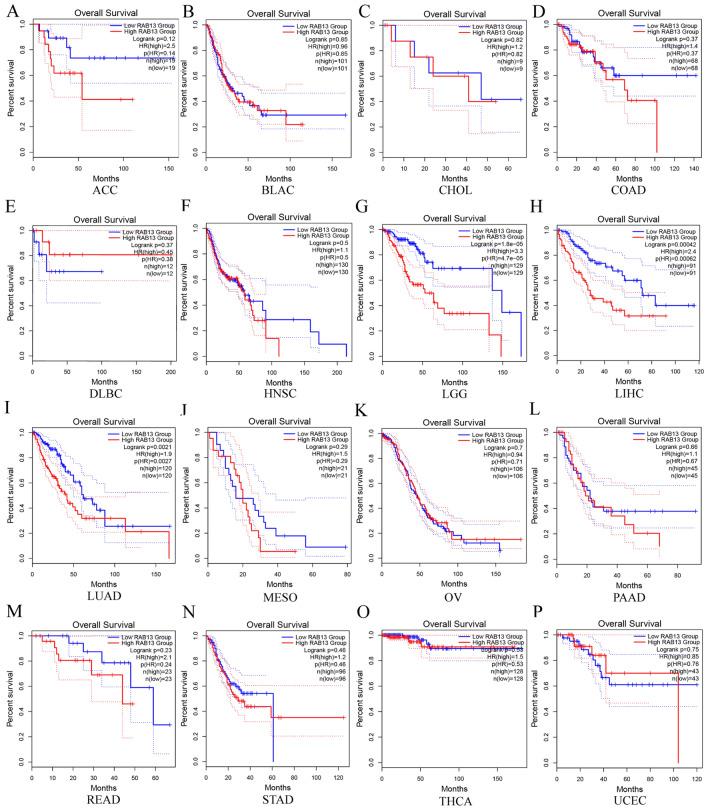https://cdn.ncbi.nlm.nih.gov/pmc/blobs/3da0/10558570/24e37e202251/41598_2023_43699_Fig2_HTML.jpg